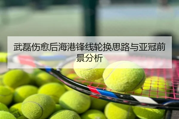 武磊伤愈后海港锋线轮换思路与亚冠前景分析